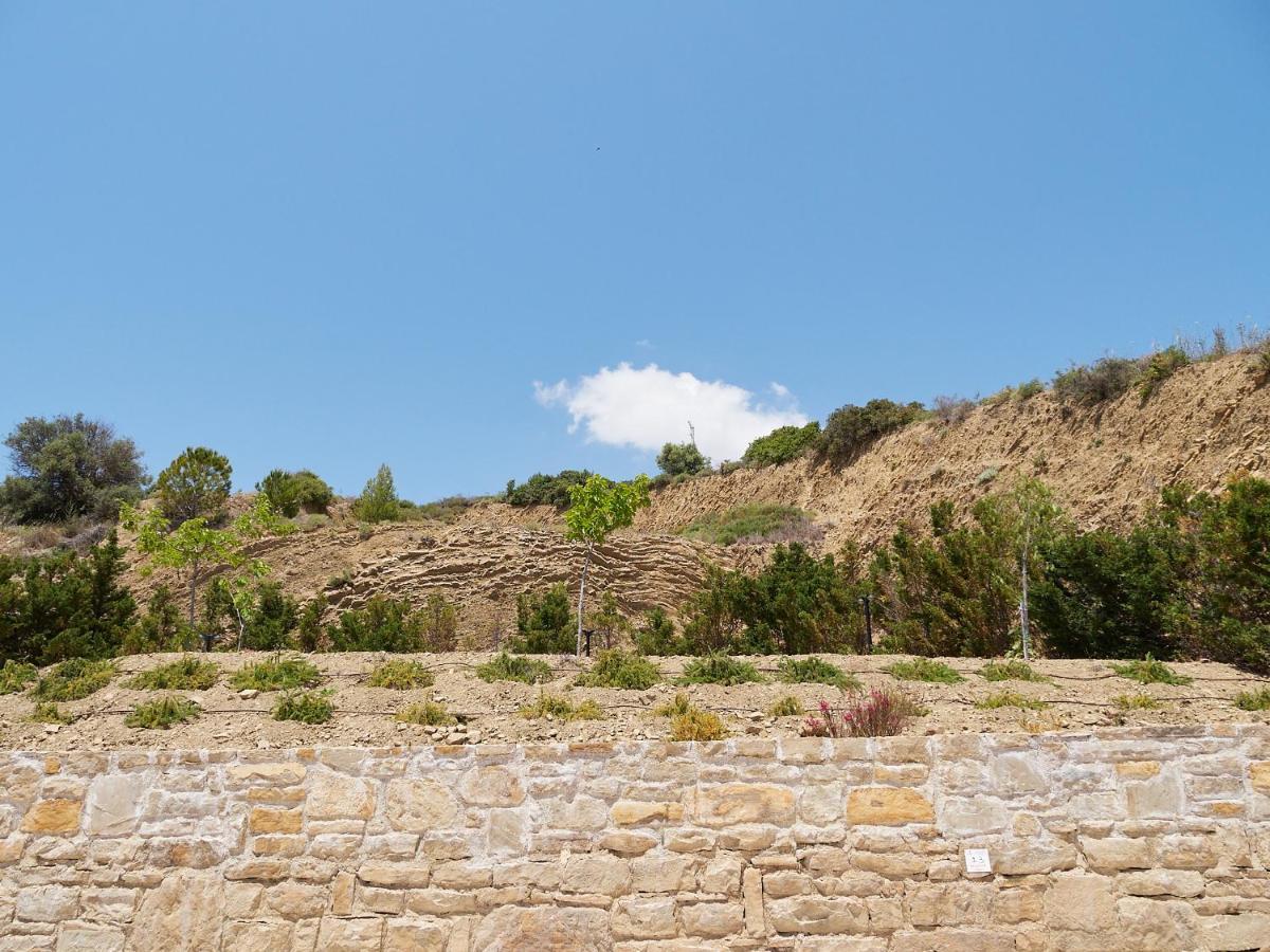 Thea Studios Φοινικούντα Εξωτερικό φωτογραφία