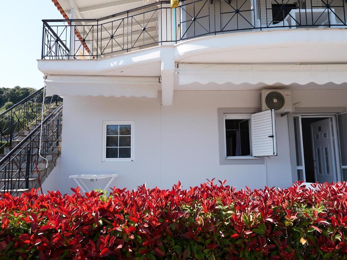 Thea Studios Φοινικούντα Εξωτερικό φωτογραφία