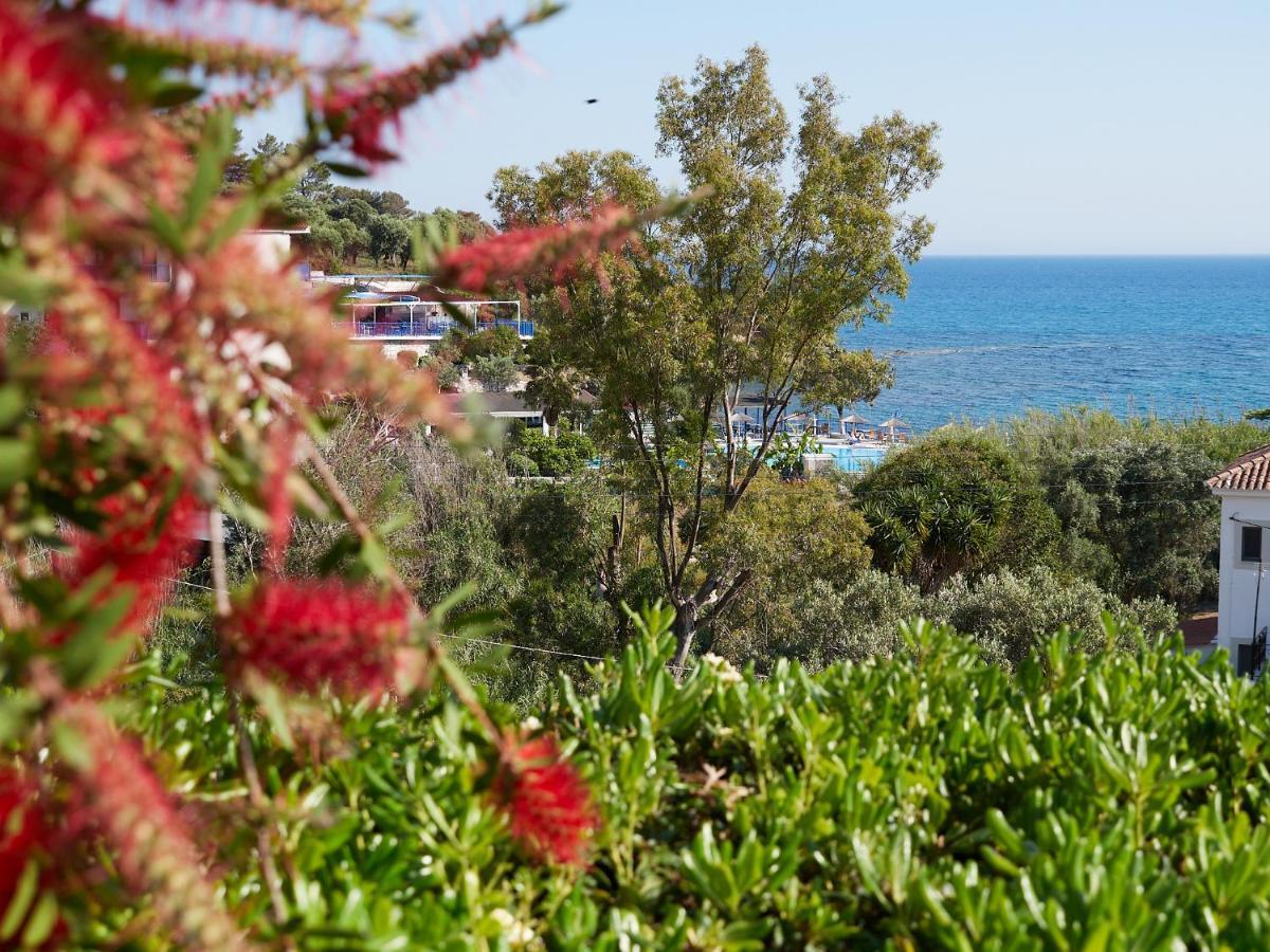 Thea Studios Φοινικούντα Εξωτερικό φωτογραφία