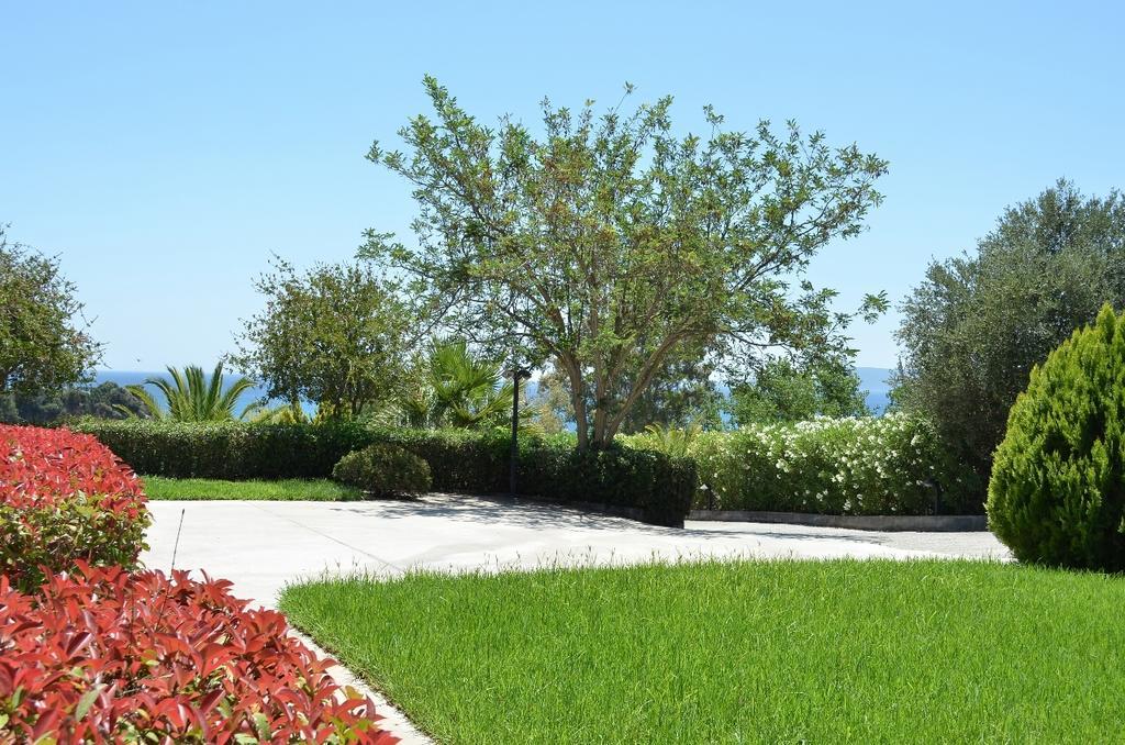 Thea Studios Φοινικούντα Εξωτερικό φωτογραφία